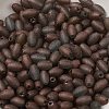 Transparent Colours Glass Seed Beads SEED-F006-03A-12-3