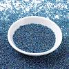 MIYUKI Round Rocailles Beads X-SEED-G007-RR0339-2