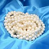 Round Shell Pearl Bead Strands BSHE-L011-10mm-A013A-2