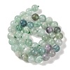 Natural Fluorite Beads Strands G-P530-B04-03-4
