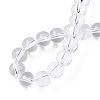 Transparent Glass Beads Strands GLAA-T032-T10mm-13-4