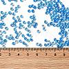 8/0 Transparent Glass Seed Beads SEED-F003-03B-02-4