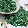 Glass Seed Beads SEED-K009-09A-01-1