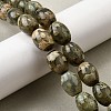 Tibetan Style dZi Beads Strands G-S389-A02-1