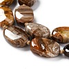 Natural Petrified Wood Beads Strands G-G010-04-3