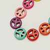 Synthetical Turquoise Beads Strands TURQ-S131-15mm-M-1