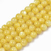 Natural Freshwater Shell Beads Strands SHEL-N003-24-B08-1