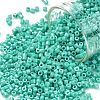 Cylinder Seed Beads SEED-H001-H03-1