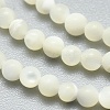 Natural White Shell Beads Strands G-A177-04-25-4