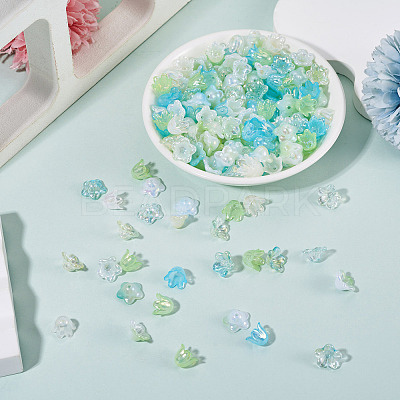 Acrylic Bead Caps OACR-TA0014-45B-1