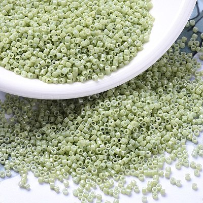MIYUKI Delica Beads SEED-MY11-DB2123-1