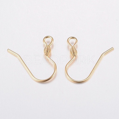304 Stainless Steel Earring Hooks STAS-G179-45G-1