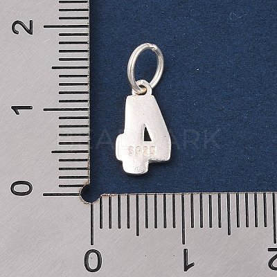 Number Series 925 Sterling Silver Charms LS-STER-Q002-01E-1