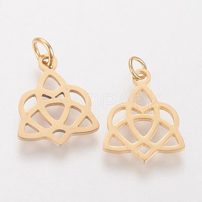 304 Stainless Steel Pendants STAS-Q201-T458G-1