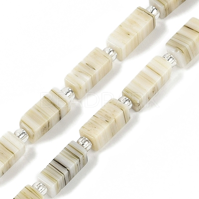 Handmade Lampwork Beads Strands LAMP-Q037-01B-06-1