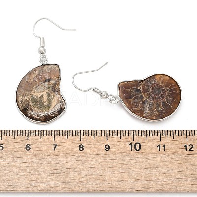 Fossil Spiral Dangle Earrings EJEW-P153-01-1