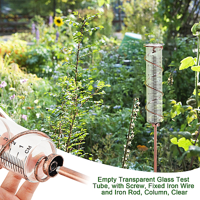 Empty Transparent Glass Test Tube TOOL-WH0146-05-1