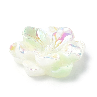 Luminous Resin Cabochons RESI-E033-02D-1