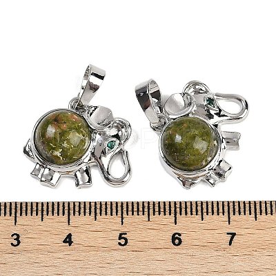 Natural Unakite Pendants G-I374-A-P16-1
