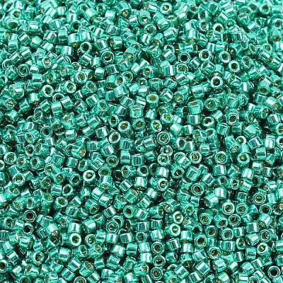 MIYUKI Delica Beads X-SEED-J020-DB2505-1
