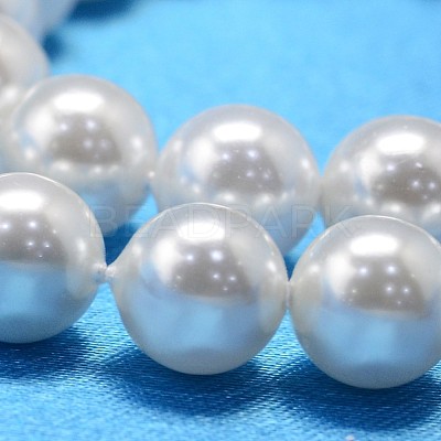 Round Shell Pearl Bead Strands BSHE-L011-6mm-A013-1