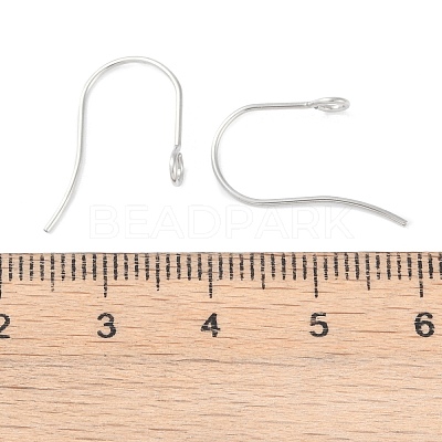 Tarnish Resistant 316 Surgical Stainless Steel Earring Hooks X-STAS-P162-13P-B01-1
