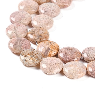 Natural Cherry Blossom Agate Beads Strands G-L246-24-1