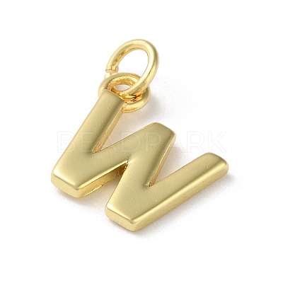 Rack Plating Brass Charms KK-P245-06G-W-1