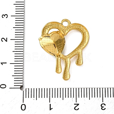 304 Stainless Steel Pendants STAS-L299-21G-05-1