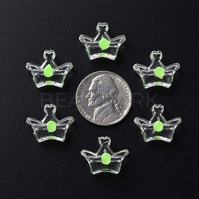 Transparent Acrylic Beads LS-MACR-S373-105-B06-1