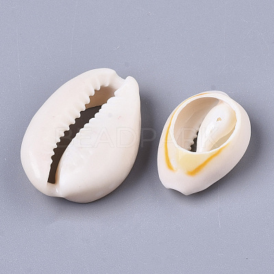 Natural Cowrie Shell Beads X-SSHEL-N034-34-1