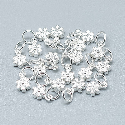 925 Sterling Silver Charms STER-T002-104S-1