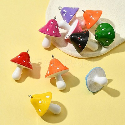 10Pcs Resin Pendants RESI-FS0001-62-1