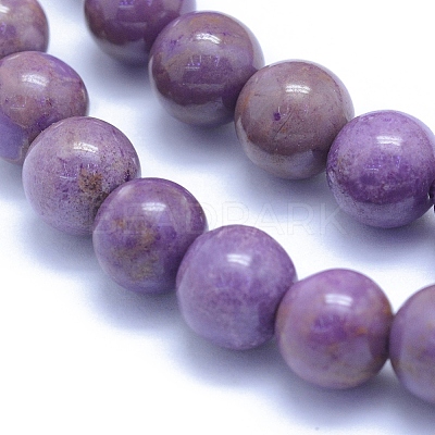 Natural Lepidolite/Purple Mica Stone Beads Strands G-L552H-09B-1