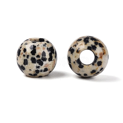 Natural Dalmatian Jasper European Beads G-Q602-09B-08-1