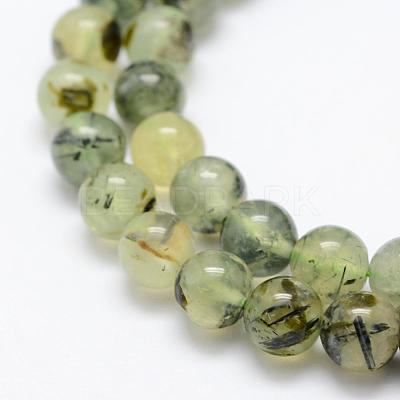 Natural Prehnite Beads Strands G-P322-48-12mm-1