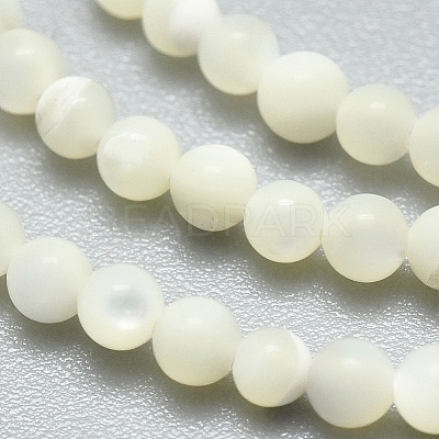 Natural White Shell Beads Strands G-A177-04-25-1