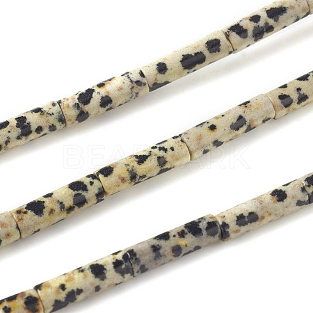 Natural Dalmatian Jasper Beads Strands G-F247-21-1