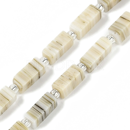 Handmade Lampwork Beads Strands LAMP-Q037-01B-06-1