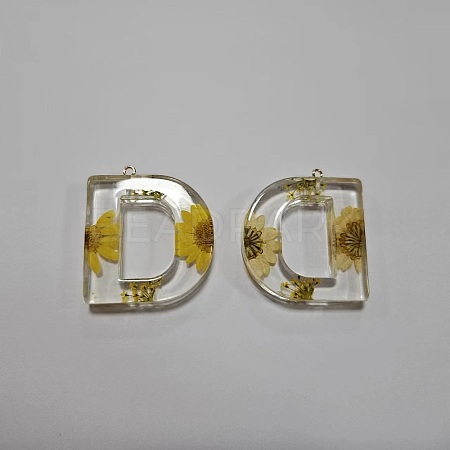 Transparent Epoxy Resin Pendants CRES-YW0002-12D-1