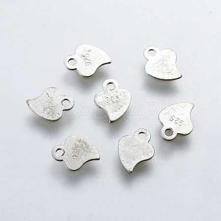 925 Sterling Silver Charms X-STER-K037-049A-1