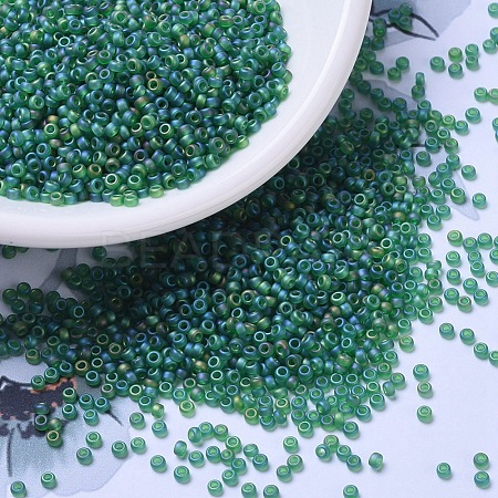 MIYUKI Round Rocailles Beads X-SEED-G007-RR0146FR-1