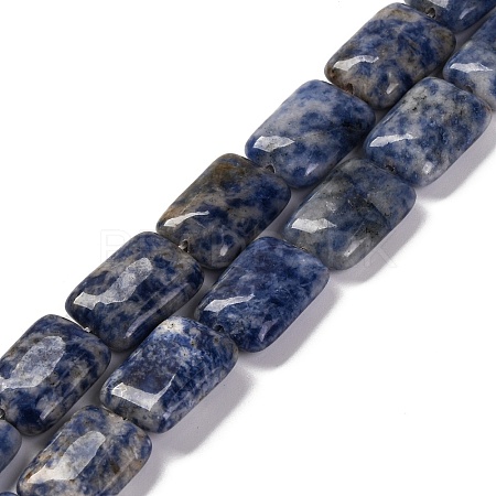 Natural Blue Spot Jasper Beads Strands G-T047-B10-01-1