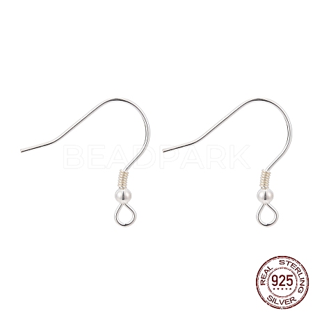 925 Sterling Silver Earring Hooks X-STER-T002-166S-1