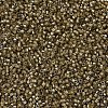 MIYUKI Delica Beads X-SEED-J020-DB0288-3