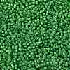 MIYUKI Round Rocailles Beads SEED-X0056-RR3763-3