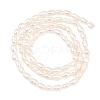 Natural Cultured Freshwater Pearl Beads Strands PEAR-D003-01D-03-3