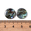 Natural Paua Shell Epoxy Resin Cabochons SSHEL-S279-01A-3
