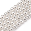 Baking Paint Pearlized Glass Pearl Round Bead Strands PEAR-H019-02C-04-1
