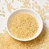 12/0 Transparent Glass Seed Beads SEED-F003-03C-14-2